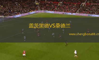 蓋茨黑德VS桑德蘭