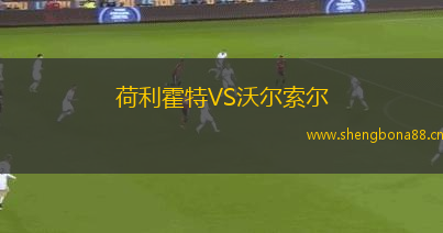 荷利霍特VS沃爾索爾