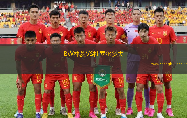 BW林茨VS杜塞爾多夫