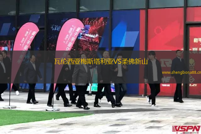 瓦倫西亞梅斯塔利亞VS柔佛新山