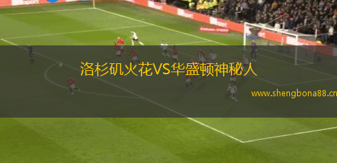 洛杉磯火花VS華盛頓神秘人