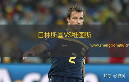 日林斯基VS維圖斯